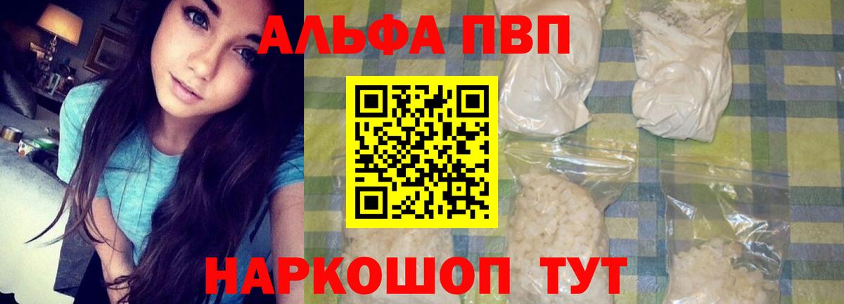 A PVP СК КРИС Новороссийск