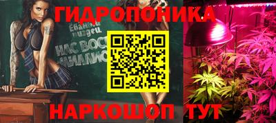 стаф Волгодонск