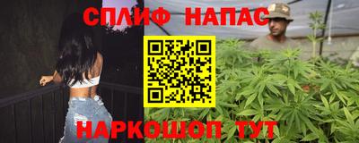 стаф Волгодонск