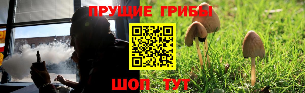 Новороссийск  Псилоцибиновые грибы прущие грибы  Вход с VPN  Псилоцибиновые грибы ЛСД 